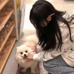 末世魔尊安卓破解版下载